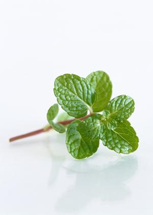 九州最大規模の在庫車を誇る軽自動車専門店ケイカフェ｜福岡・佐賀で豊富なラインナップと快適なサービスを提供